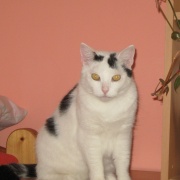 modelka :-) :-)